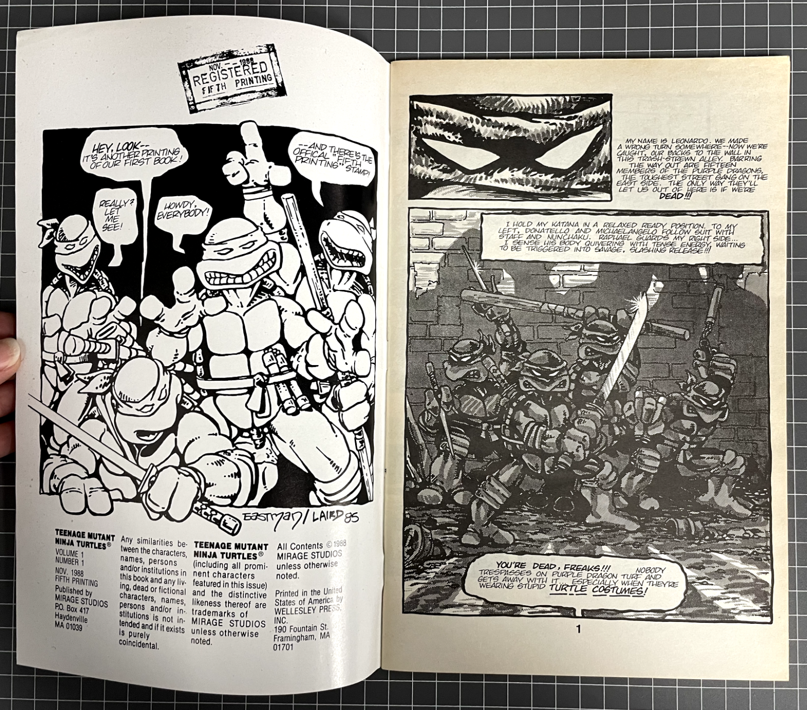 TEENAGE MUTANT NINJA TURTLES #1 5TH PRINT (1988) TMNT VF-