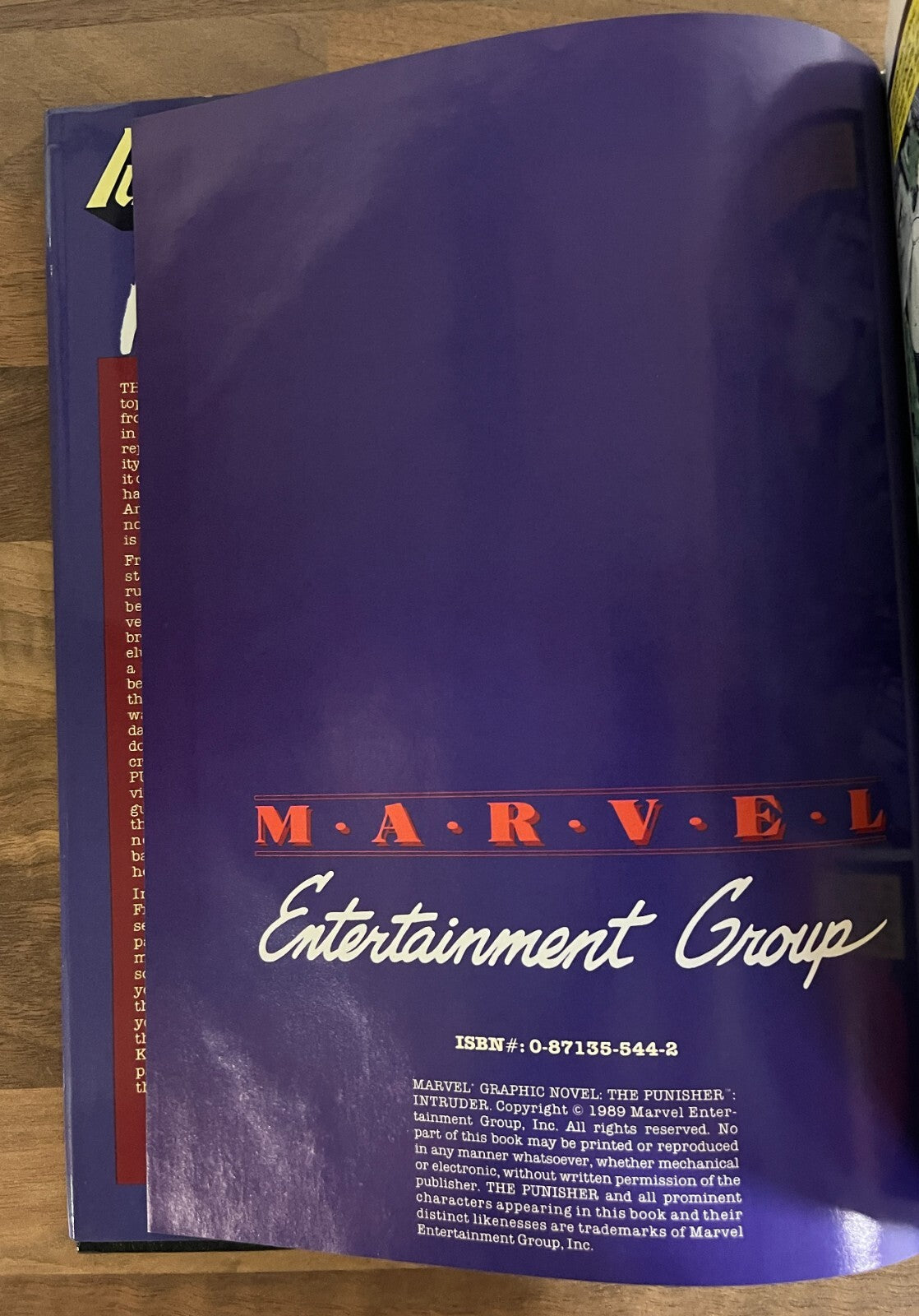 MARVEL GRAPHIC NOVEL: THE PUNISHER in INTRUDER by Mike Baron, Bill Reinhold