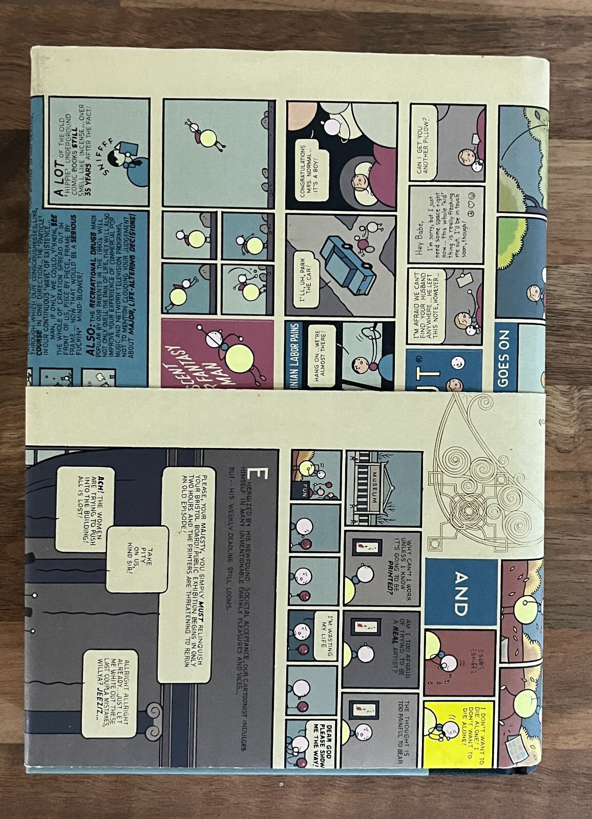 McSweeney's Quarterly Concern Issue Number 13 HC/DJ