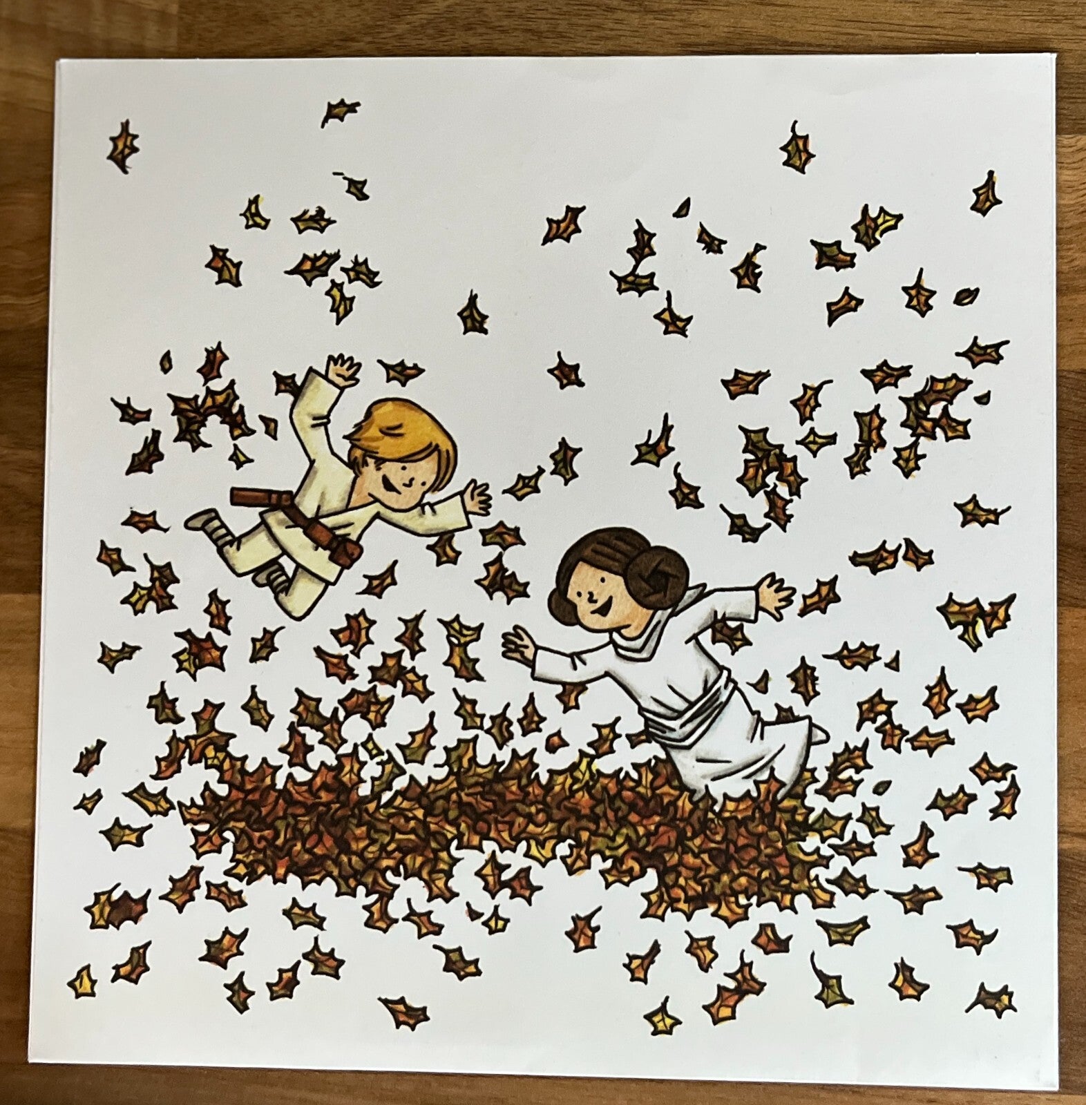 Darth Vader & Son / Vader's Little Princess Hardcover Box Set + Two Art Prints