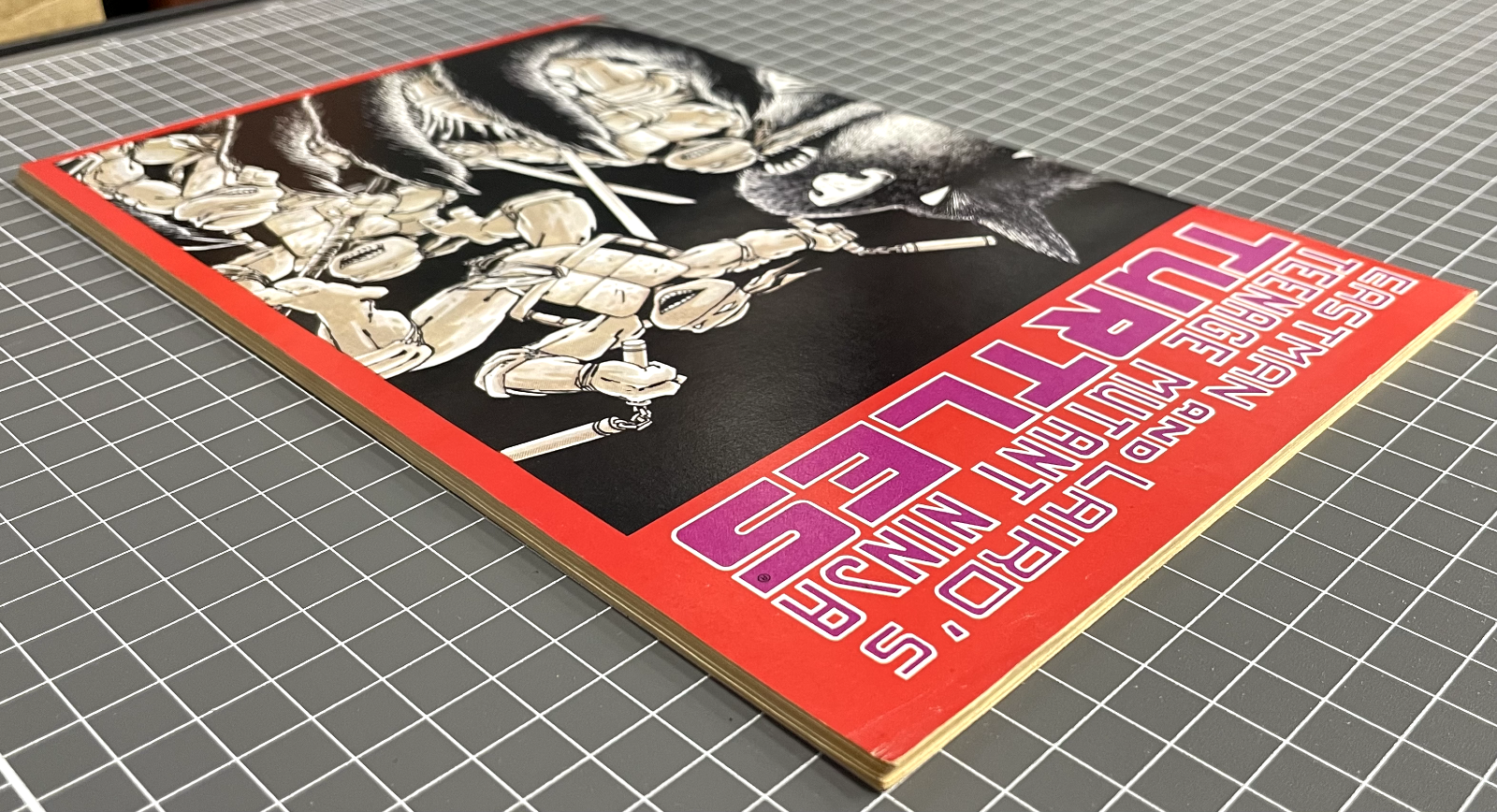 TEENAGE MUTANT NINJA TURTLES #1 5TH PRINT (1988) TMNT VF-