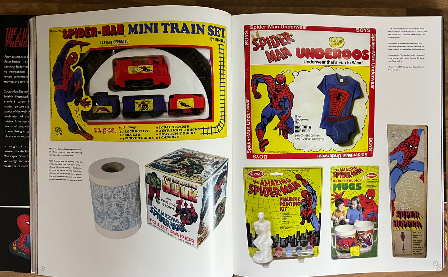 Spider-Man Icon Life and Times of a Pop Culture Phenomenon - Steve Saffell *SIGNED/SKETCH*