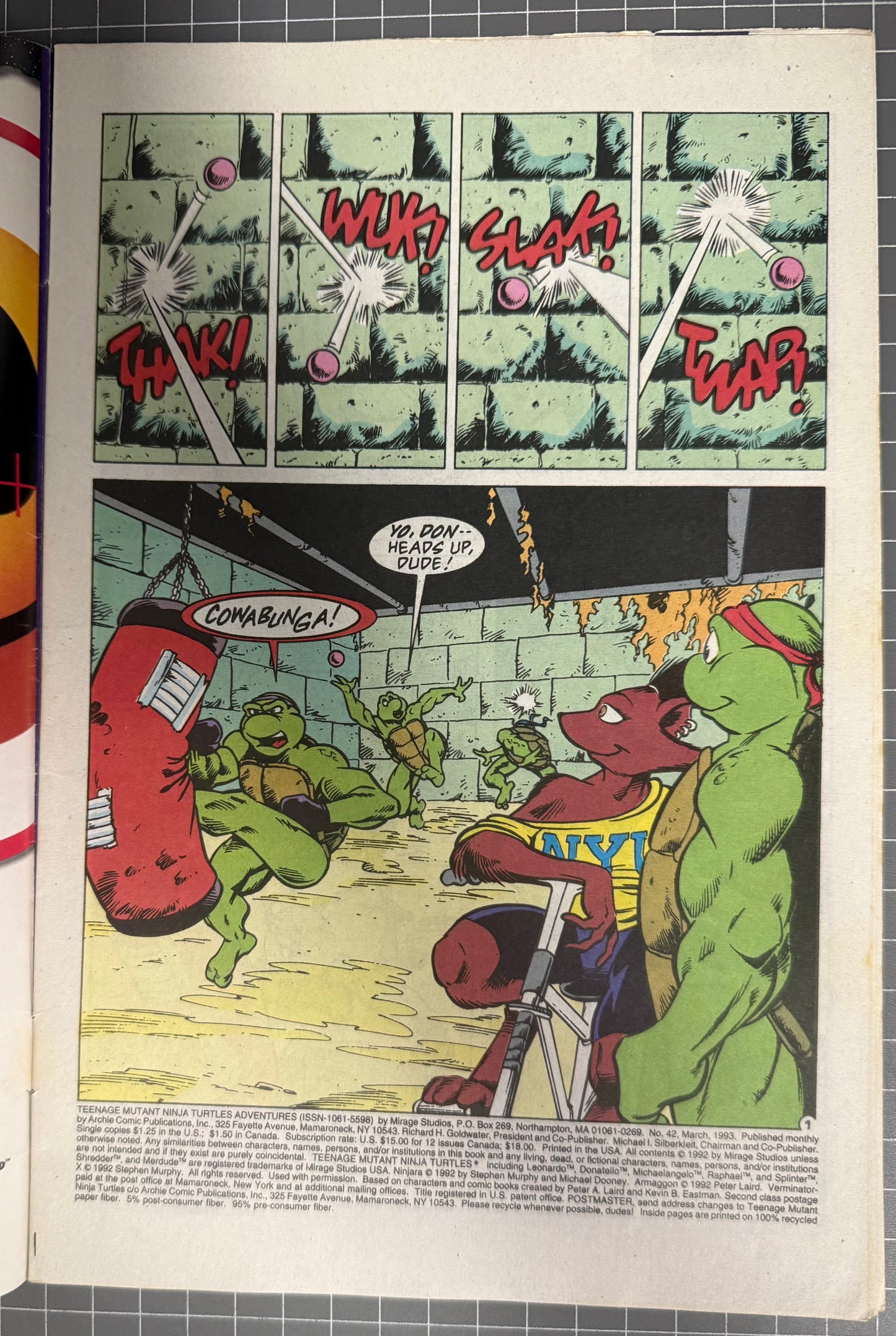 TEENAGE MUTANT NINJA TURTLES ADVENTURES #42 [ARCHIE] DIRECT COMIC 1993 FN-