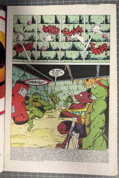 TEENAGE MUTANT NINJA TURTLES ADVENTURES #42 [ARCHIE] DIRECT COMIC 1993 FN-
