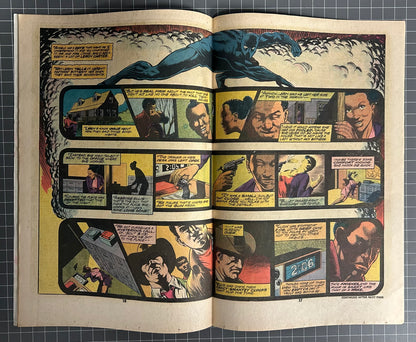 🔑 JUNGLE ACTION #21 [MARVEL COMICS] *BLACK PANTHER VS KU KLUX KLAN* 1976 FN