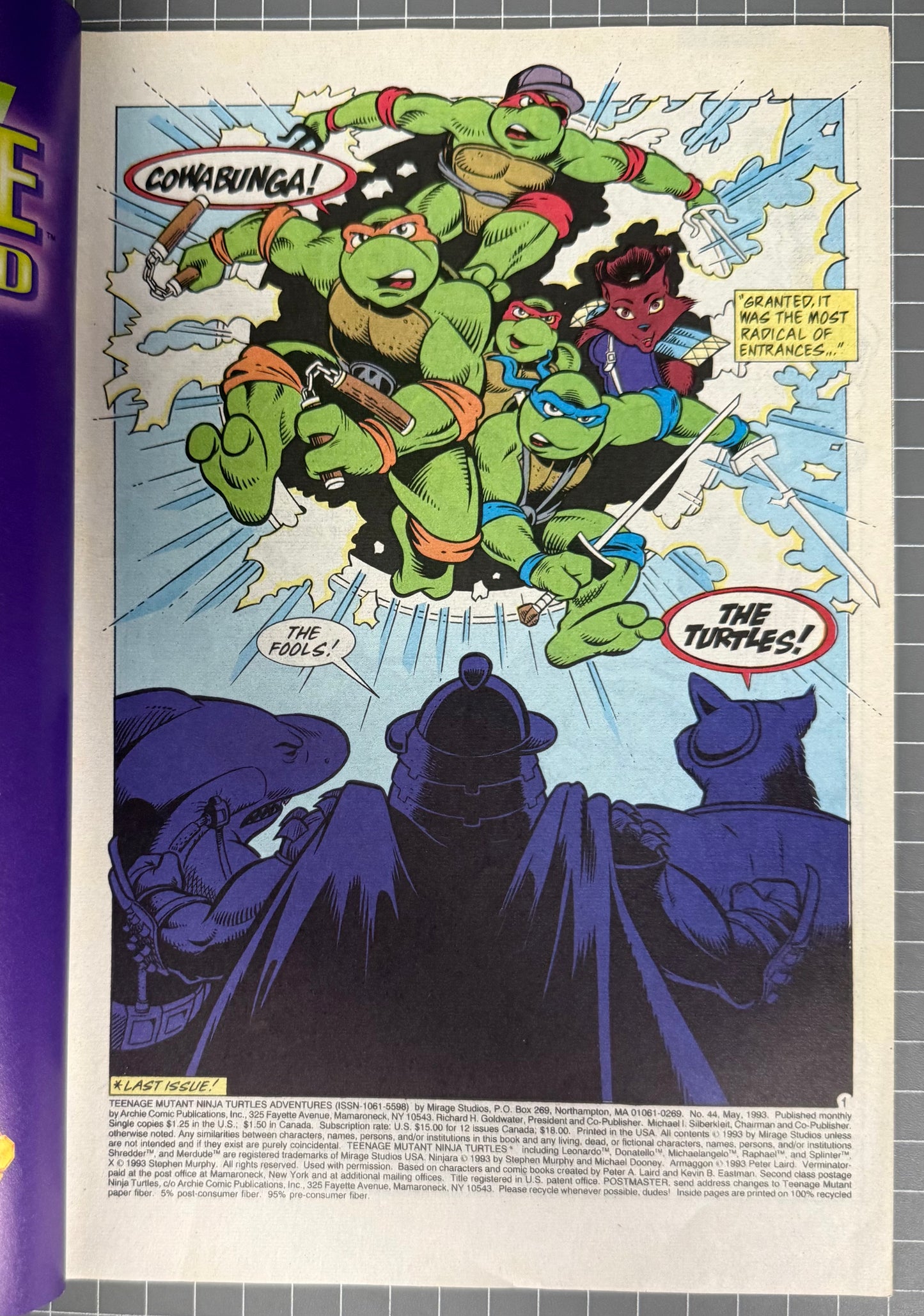 TEENAGE MUTANT NINJA TURTLES ADVENTURES #44 [ARCHIE] DIRECT COMIC 1993 VF