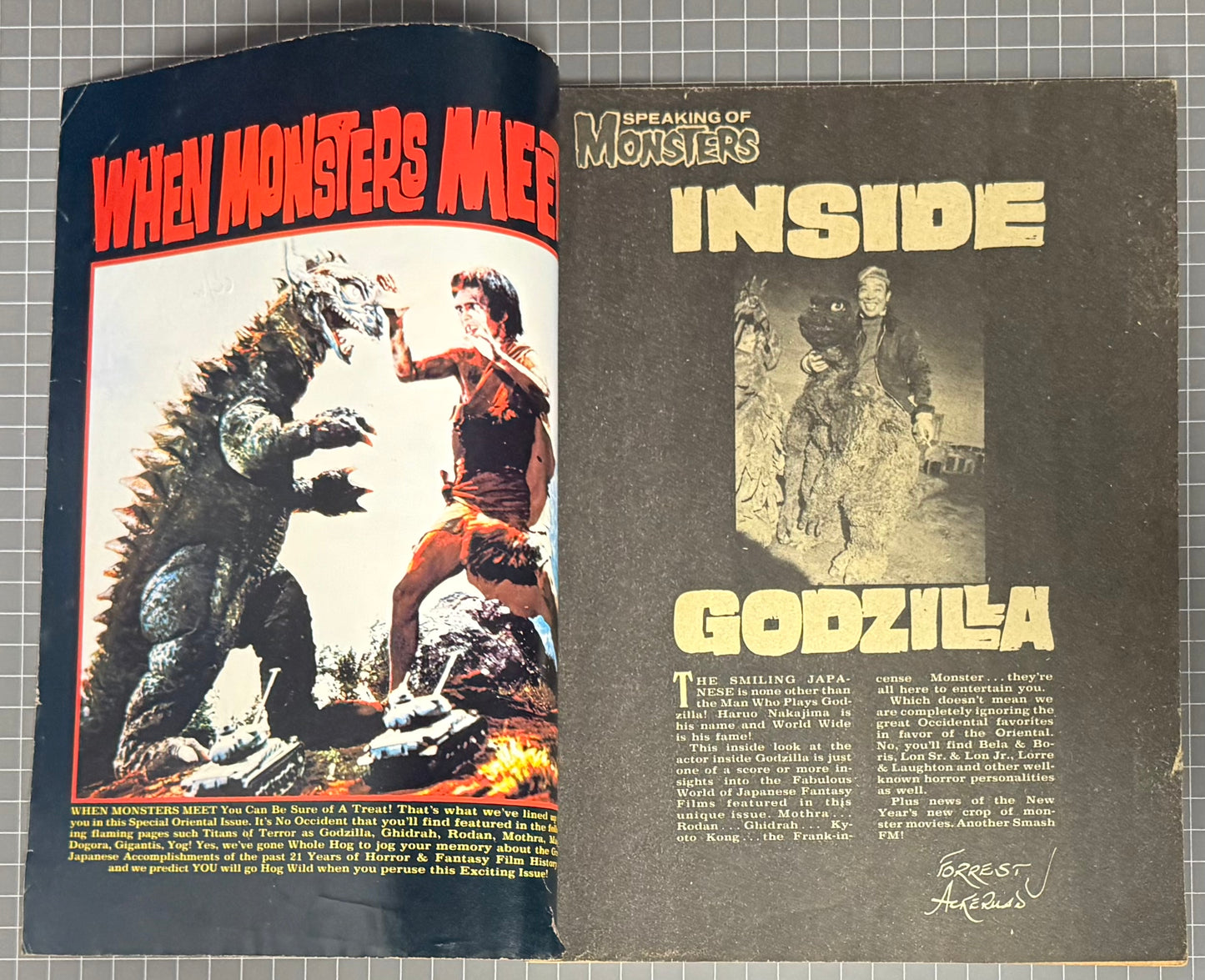 🔑 FAMOUS MONSTERS OF FILMLAND #114 [WARREN] HORROR MAGAZINE 1975 VG