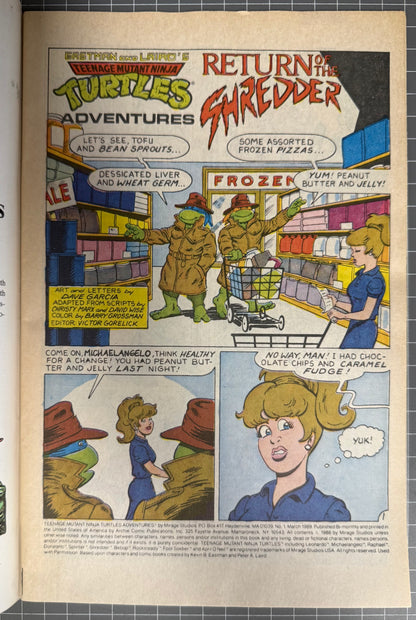 🔑 TEENAGE MUTANT NINJA TURTLES ADVENTURES #1 [ARCHIE] DIRECT COMIC 1989 FN/VF