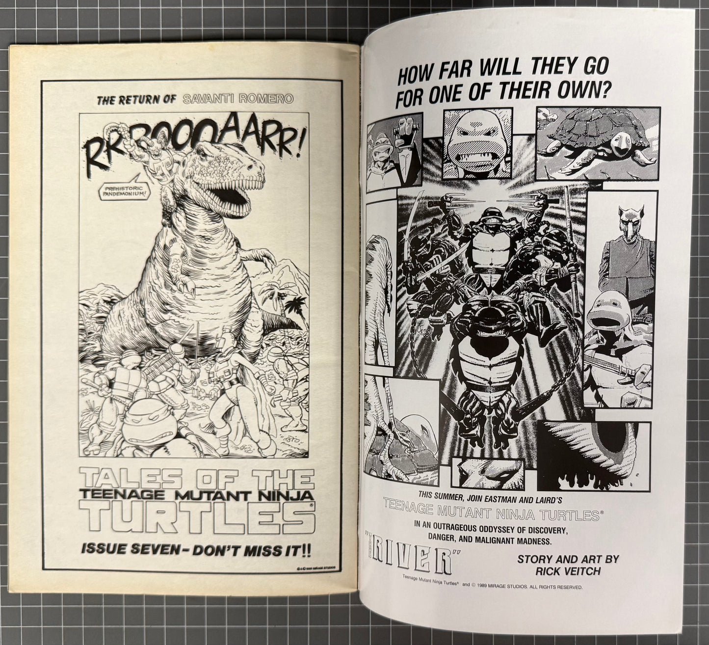 TEENAGE MUTANT NINJA TURTLES #23 (TMNT) [MIRAGE] COMIC 1989 FN+