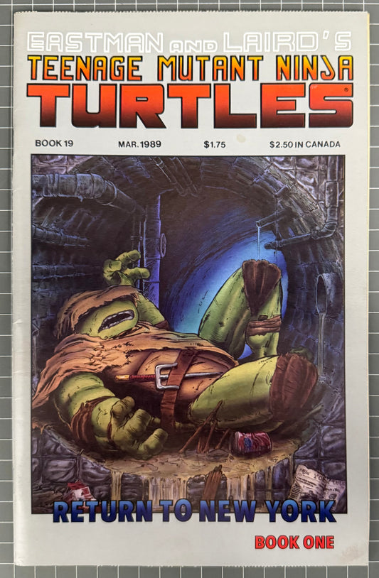 TEENAGE MUTANT NINJA TURTLES #19 (TMNT) [MIRAGE] COMIC 1989 FN/VF
