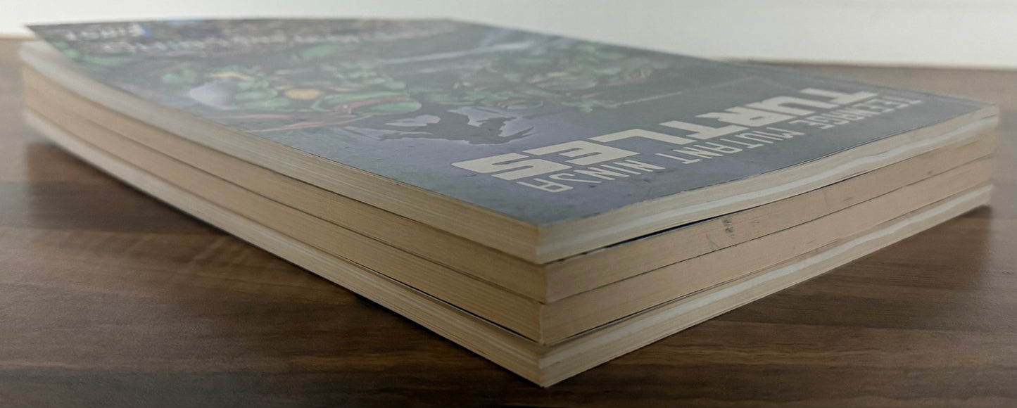 TEENAGE MUTANT NINJA TURTLES #1, 2, 3, 4 SET FIRST GRAPHIC NOVEL EASTMAN LAIRD 1988/89