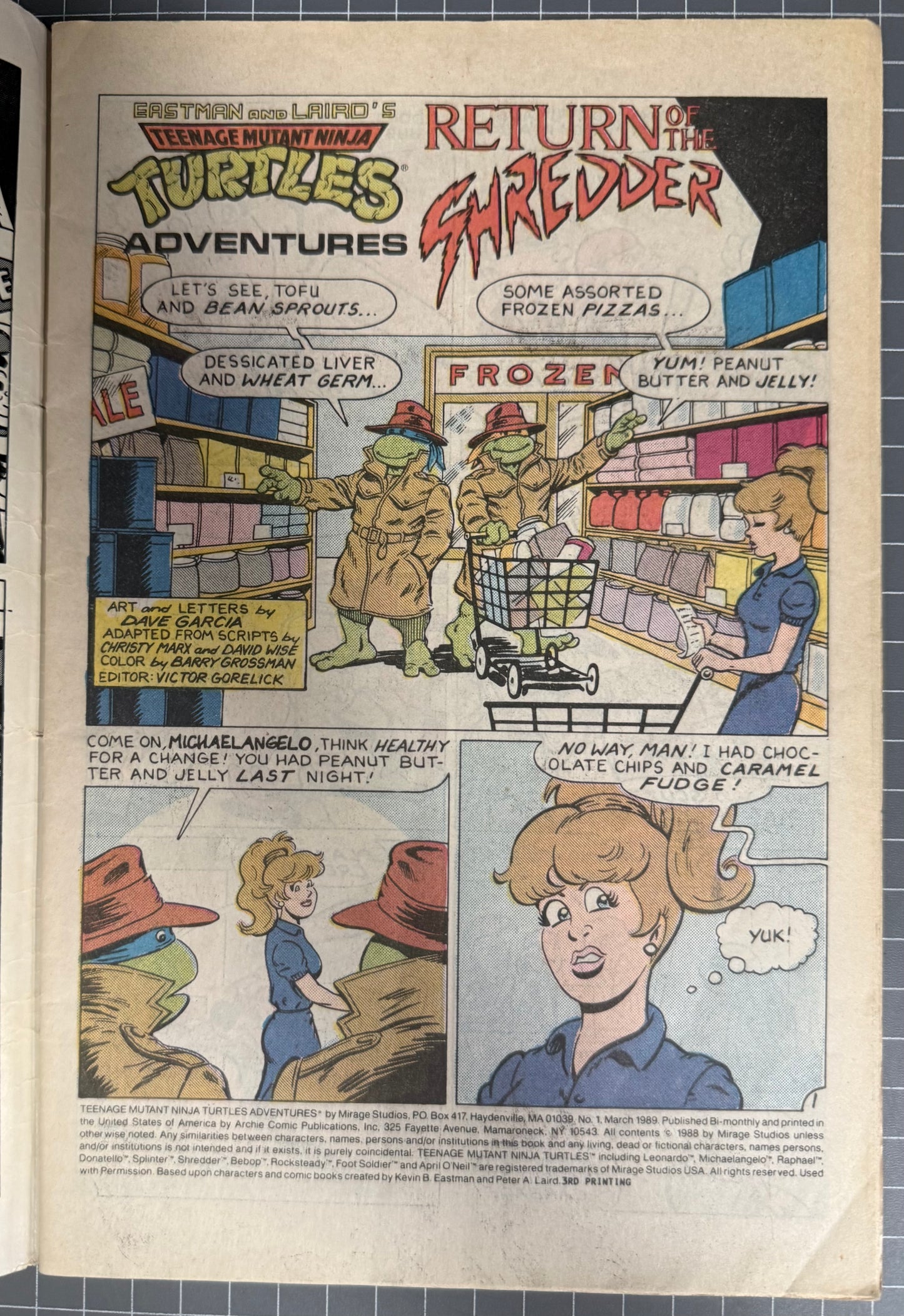 🔑 TEENAGE MUTANT NINJA TURTLES ADVENTURES #1 [ARCHIE] 3RD PRINT COMIC 1989 GD/VG