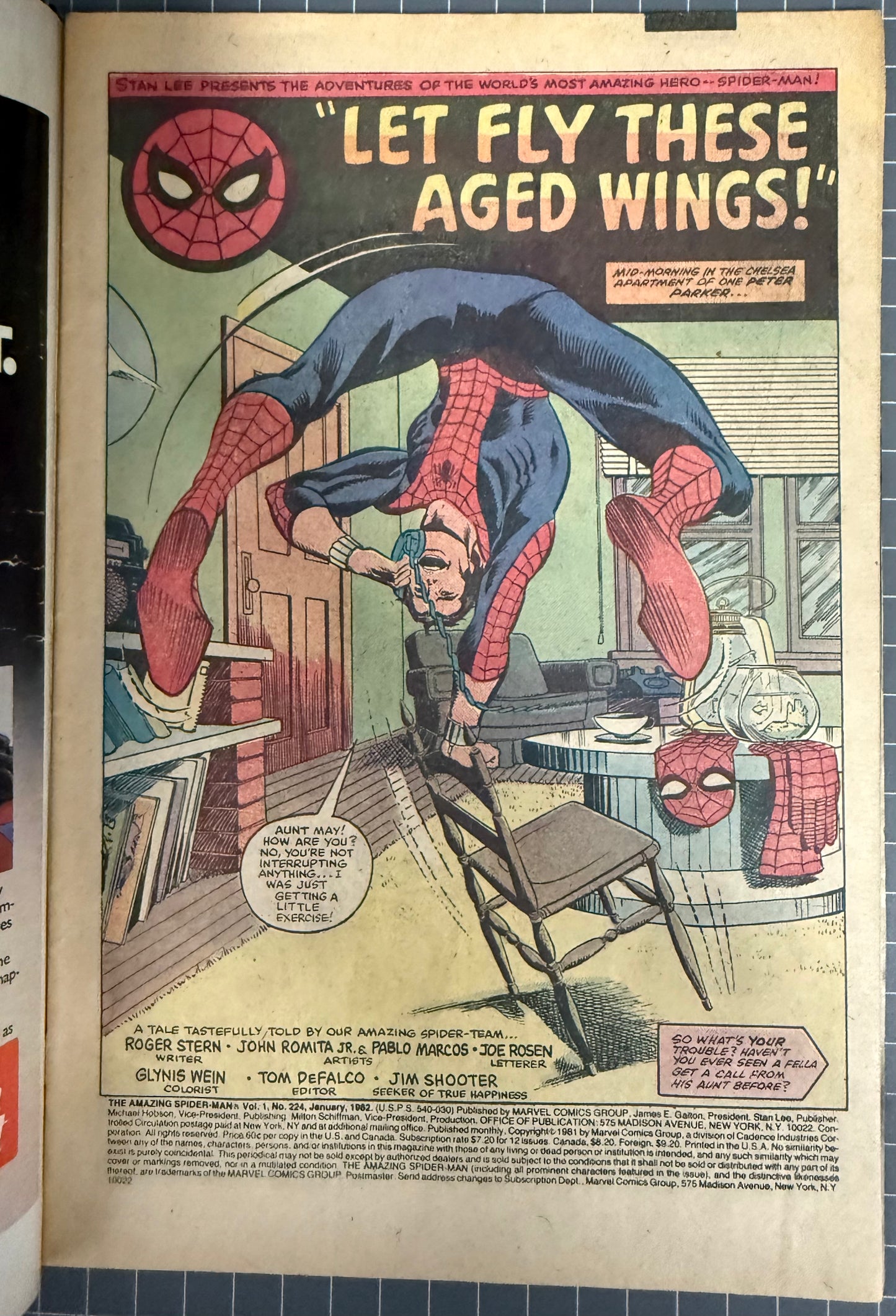 THE AMAZING SPIDER-MAN #224 [MARVEL COMICS] 1982 VG-