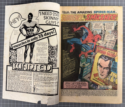 THE AMAZING SPIDER-MAN #116 [MARVEL COMICS] DIRECT 1973 GD+