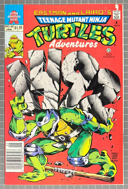 TEENAGE MUTANT NINJA TURTLES ADVENTURES #40 [ARCHIE] NEWSSTAND COMIC 1993 FN+