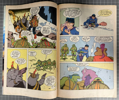 TEENAGE MUTANT NINJA TURTLES ADVENTURES #25 [ARCHIE] NEWSSTAND COMIC 1991 VG/FN