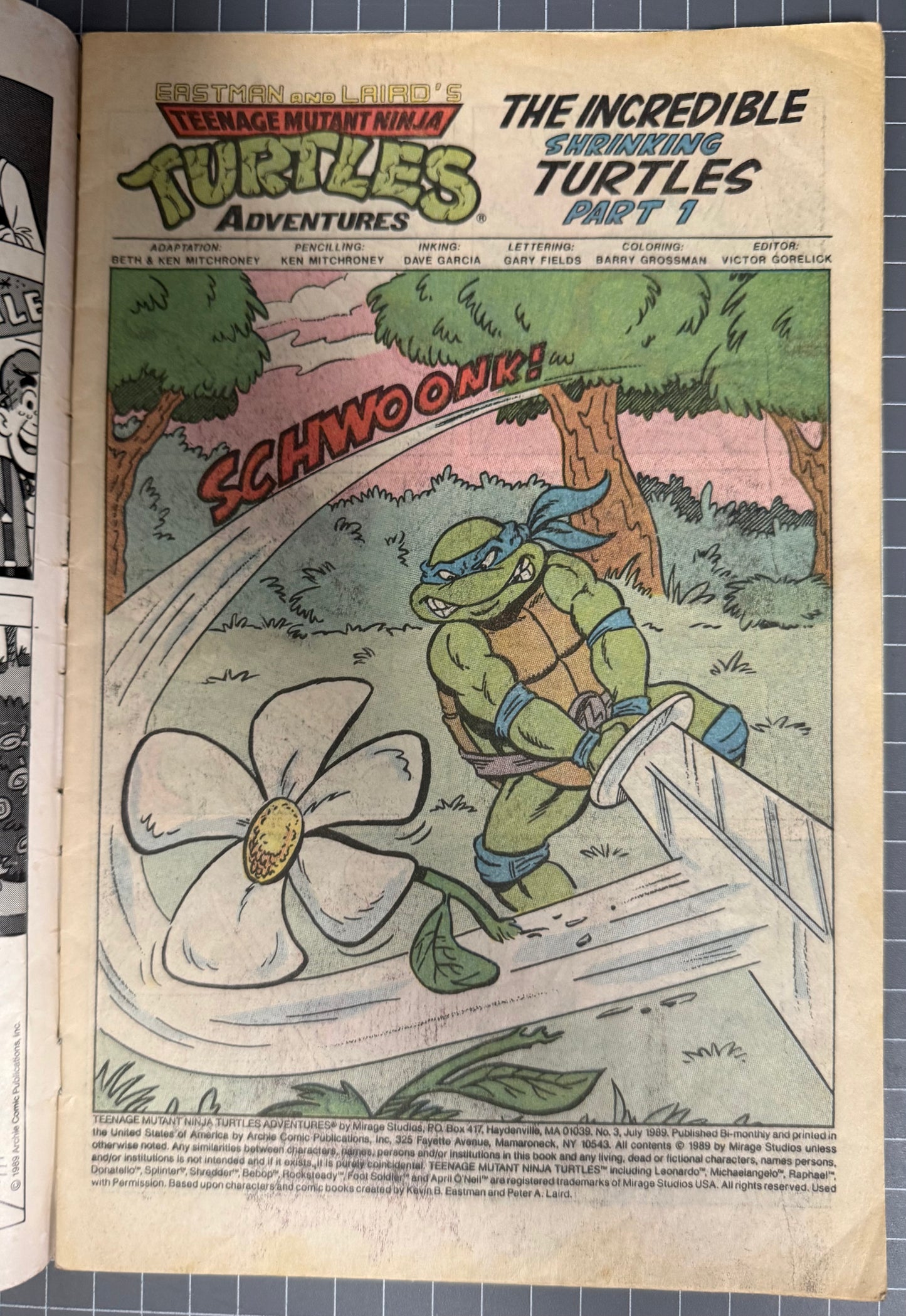 TEENAGE MUTANT NINJA TURTLES ADVENTURES #3 [ARCHIE] COMIC 1989 GD+