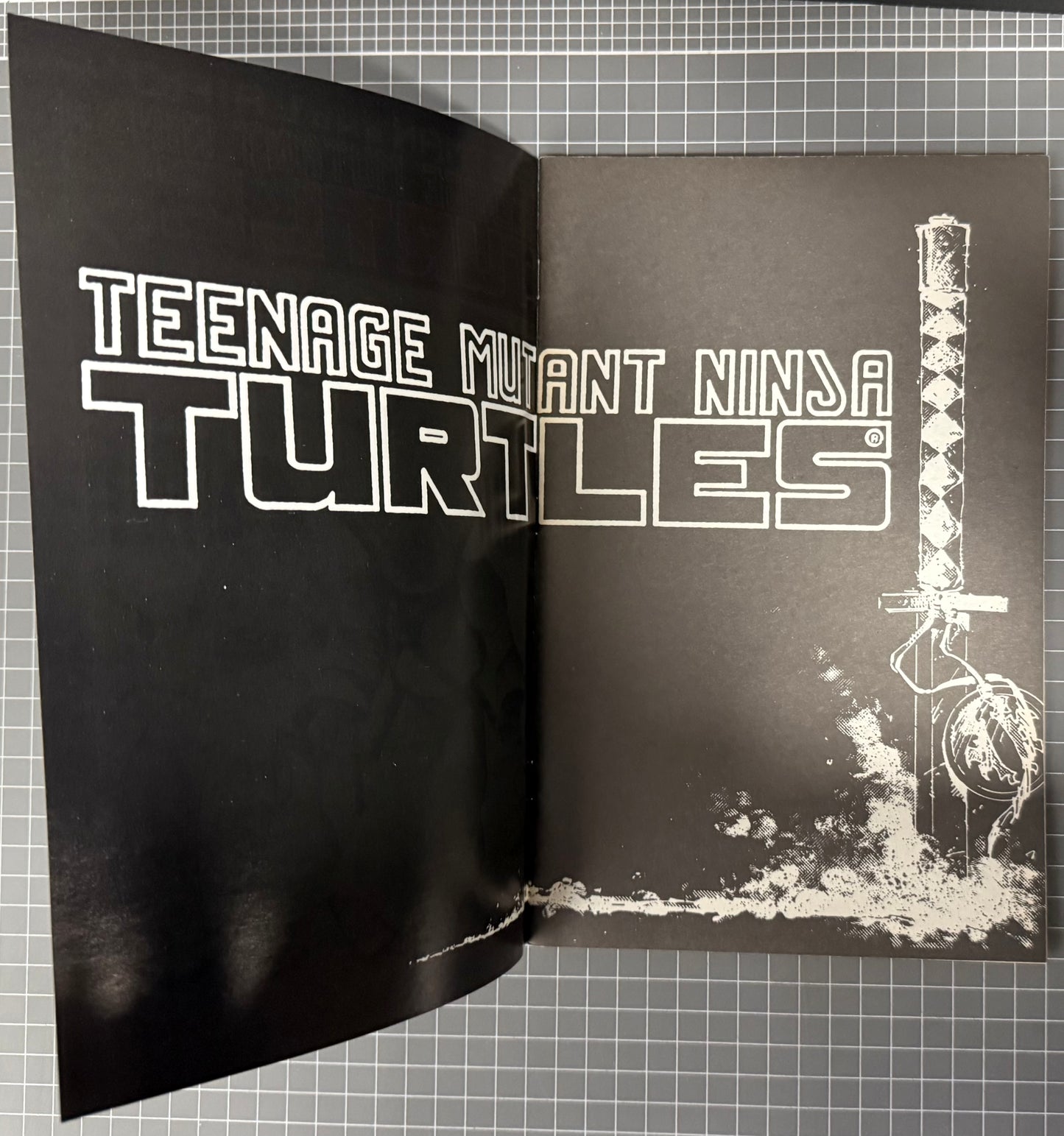 TEENAGE MUTANT NINJA TURTLES #17 (TMNT) [MIRAGE] COMIC 1988 FN+