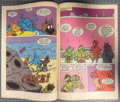 🔑 TEENAGE MUTANT NINJA TURTLES ADVENTURES #19 [ARCHIE] NEWSSTAND COMIC 1991 FN