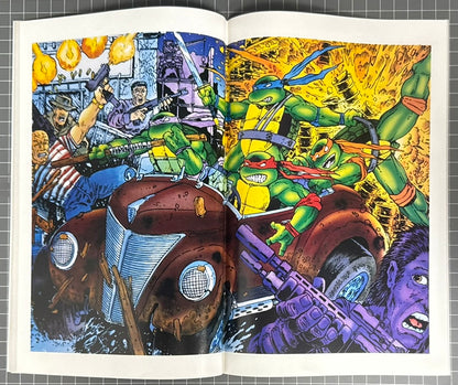 TEENAGE MUTANT NINJA TURTLES ADVENTURES #50 [ARCHIE COMICS] DIRECT 1993 VF