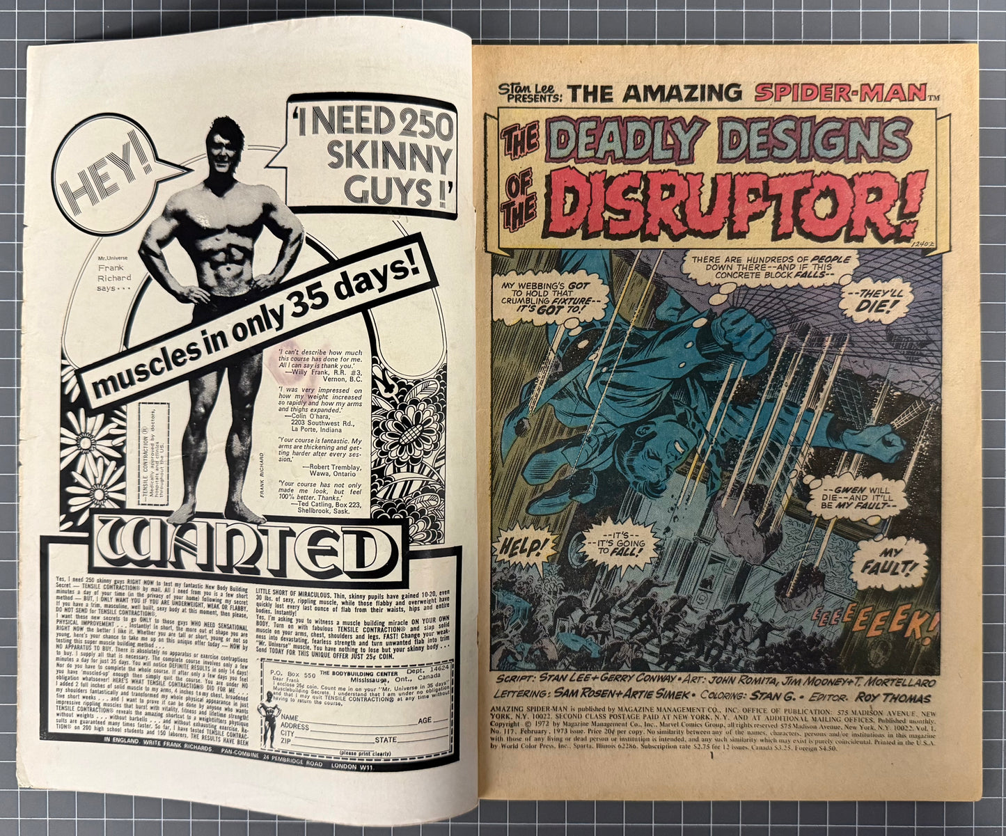 THE AMAZING SPIDER-MAN #117 [MARVEL COMICS] DIRECT 1973 VG-