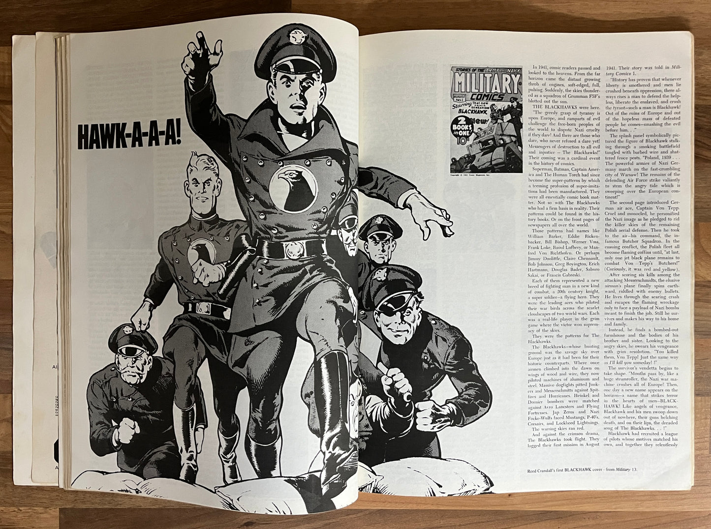 1970's JIM STERANKO The History Of Comics VOLUME 1 and 2 Oversized Supergraphics