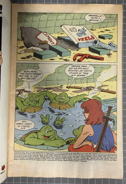 🔑 TEENAGE MUTANT NINJA TURTLES ADVENTURES #23 [ARCHIE] NEWSSTAND COMIC 1991 VG/FN