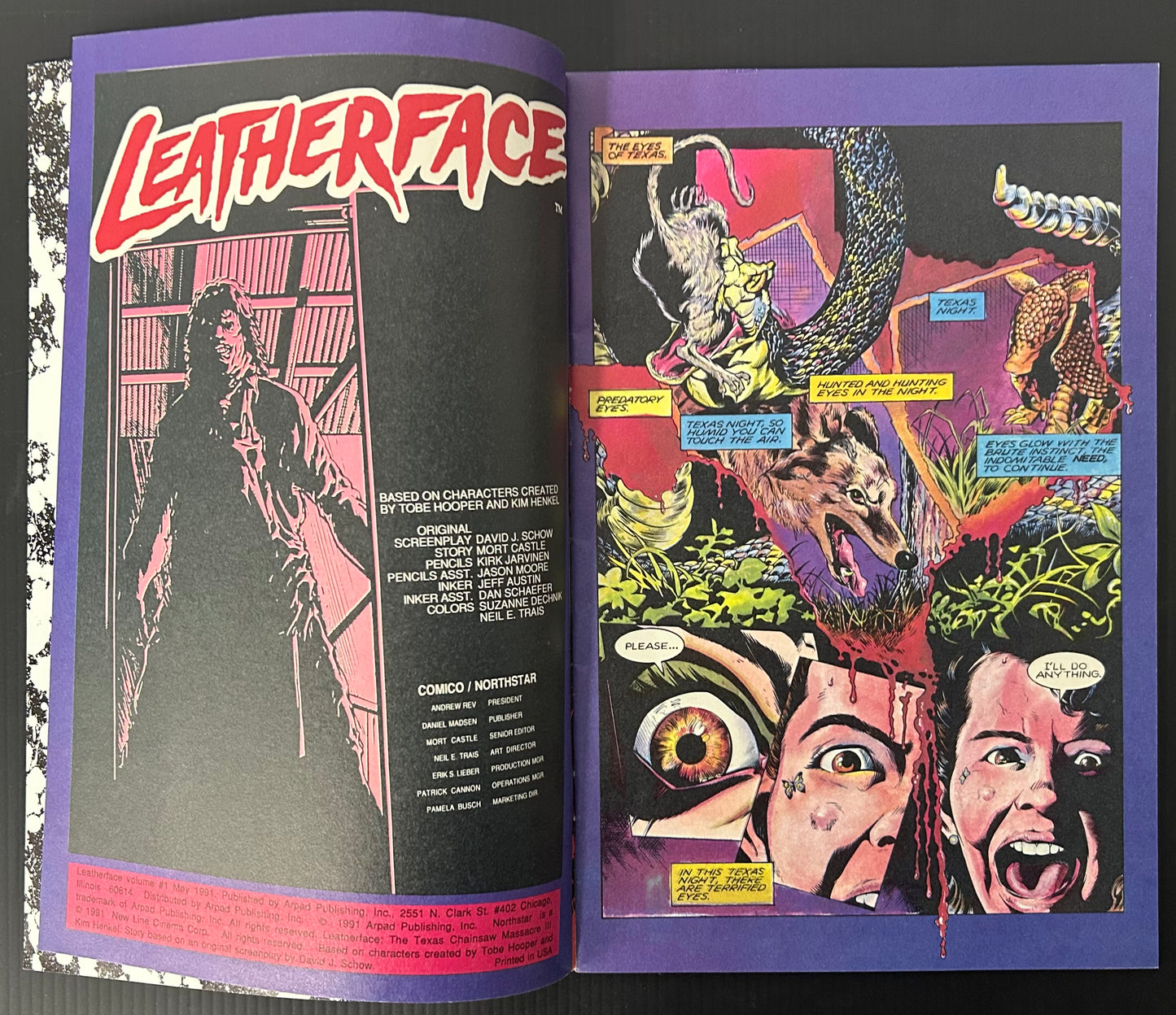 LEATHERFACE #1 [NORTHSTAR COMICS] DIRECT 1991 FN+