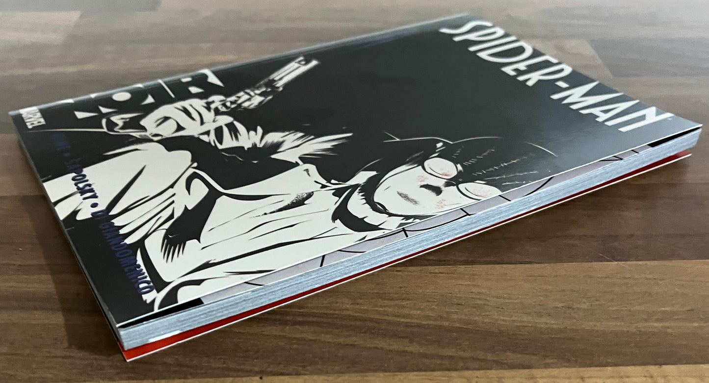 Spider-Man Noir By David Hine & Fabrice Sapolsky Graphic Novel