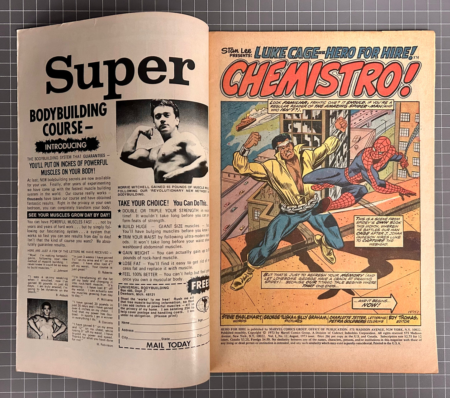 HERO FOR HIRE #12 [MARVEL COMICS] *LUKE CAGE* DIRECT 1973