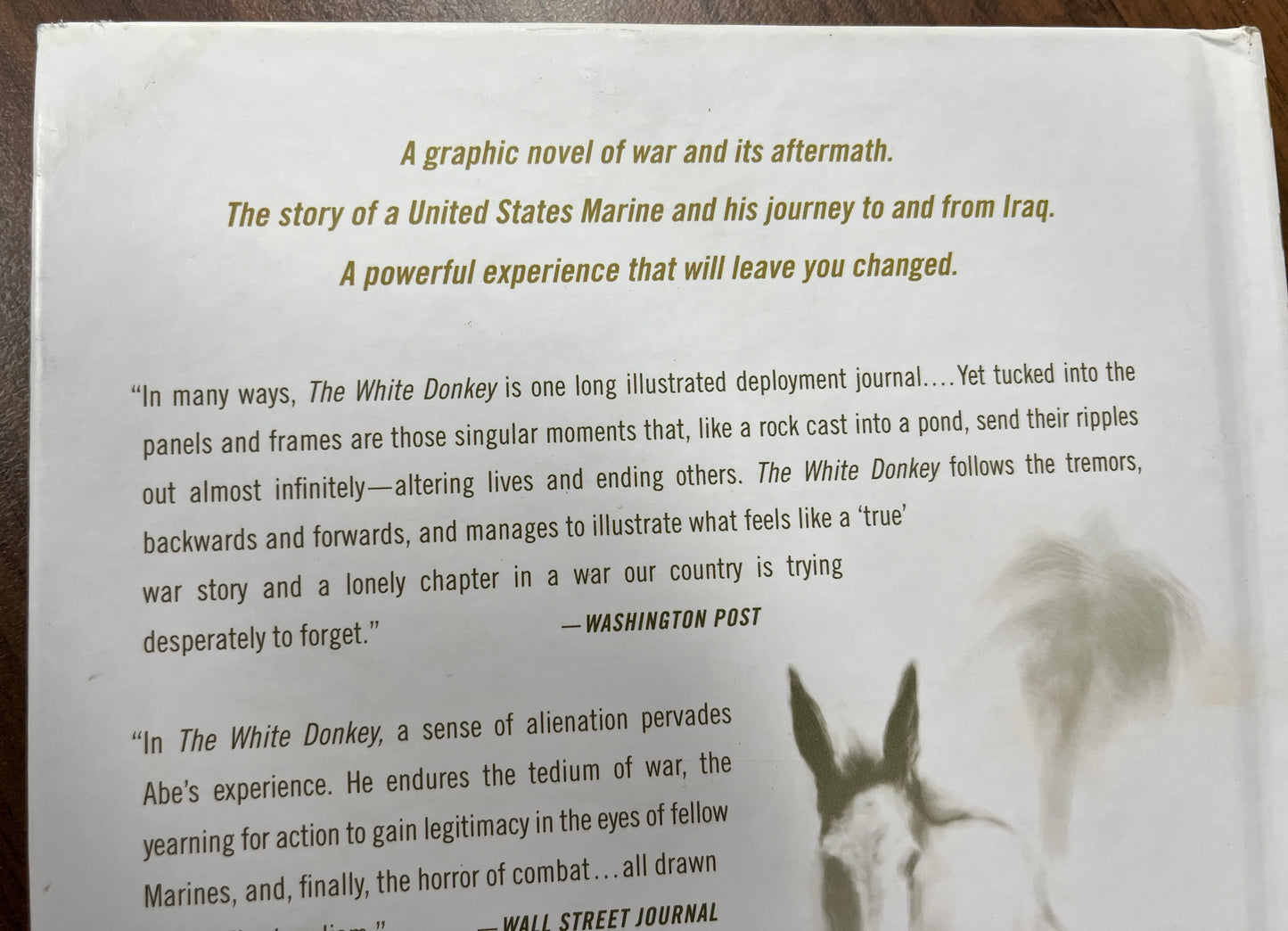 The White Donkey: Terminal Lance by Maximilian Uriarte (English) Hardcover Book