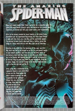 THE AMAZING SPIDER-MAN #543 [MARVEL COMICS] DIRECT 2007 FN-
