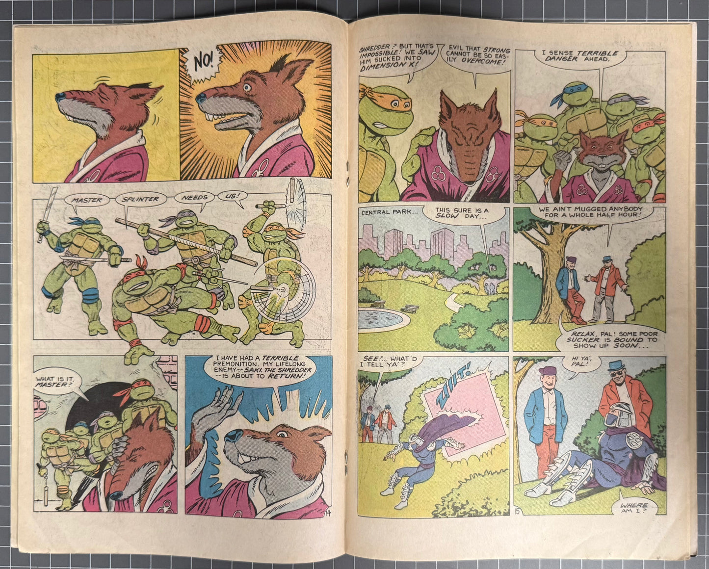 🔑 TEENAGE MUTANT NINJA TURTLES ADVENTURES #1 [ARCHIE] 3RD PRINT COMIC 1989 GD/VG