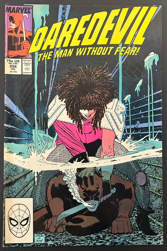 🔑 DAREDEVIL #256 [MARVEL COMICS] DIRECT *3RD APP. TYPHOID MARY* 1988 FN+