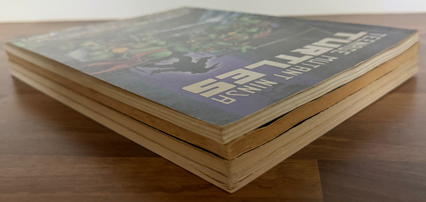 TEENAGE MUTANT NINJA TURTLES #1, 2, 3, 4 SET FIRST GRAPHIC NOVEL EASTMAN LAIRD 1988/89