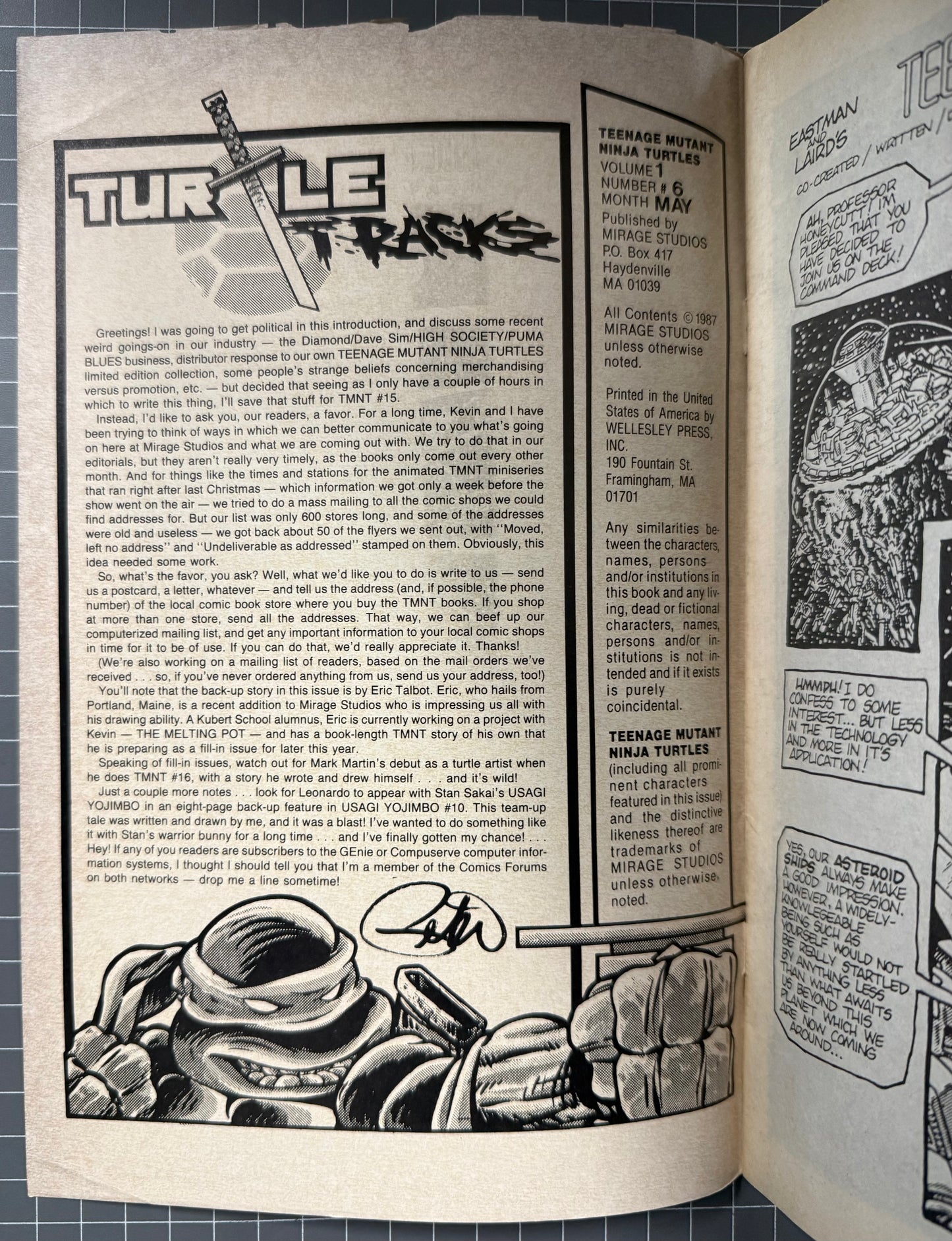 🔑 TEENAGE MUTANT NINJA TURTLES #6 (TMNT) [MIRAGE] 2ND PRINT COMIC 1987 VG+