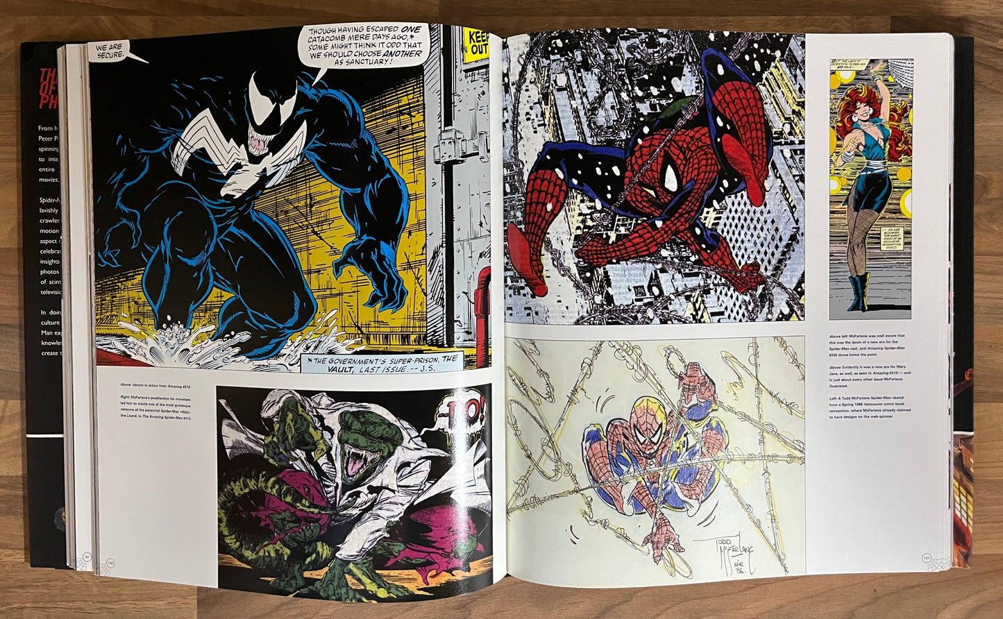 Spider-Man Icon Life and Times of a Pop Culture Phenomenon - Steve Saffell *SIGNED/SKETCH*