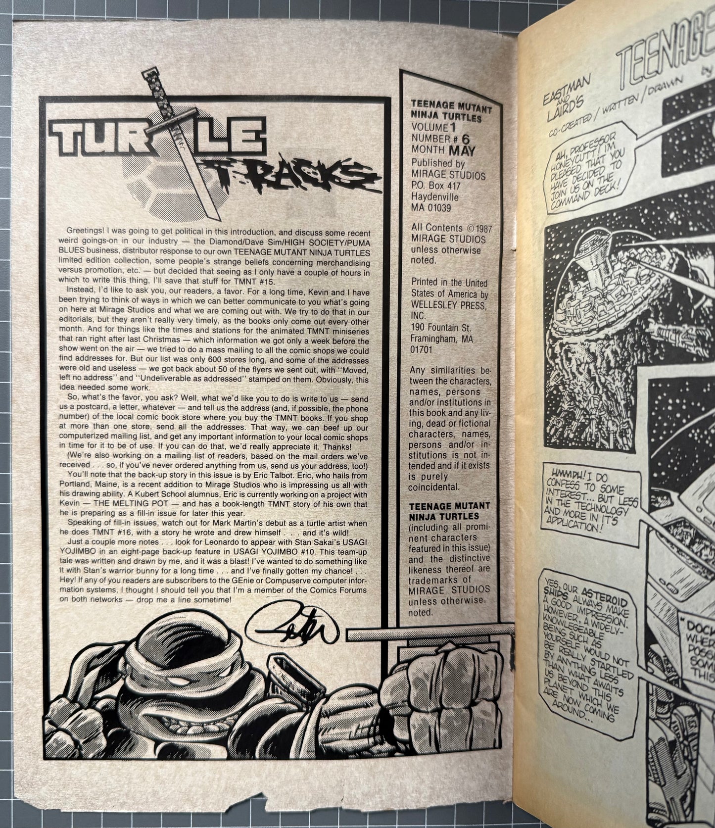 🔑 TEENAGE MUTANT NINJA TURTLES #6 (TMNT) [MIRAGE] 2ND PRINT COMIC 1987 GD/VG
