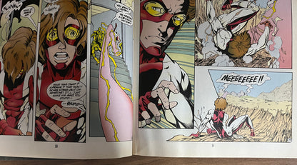 THE FLASH TERMINAL VELOCITY [DC COMICS] TPB COMIC 1995 FAIR/GOOD
