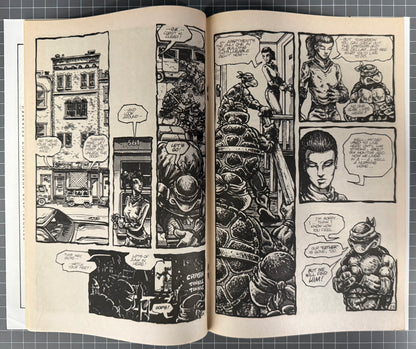 🔑 TEENAGE MUTANT NINJA TURTLES #3 (TMNT) [MIRAGE] 2ND PRINT COMIC 1988 VG/FN
