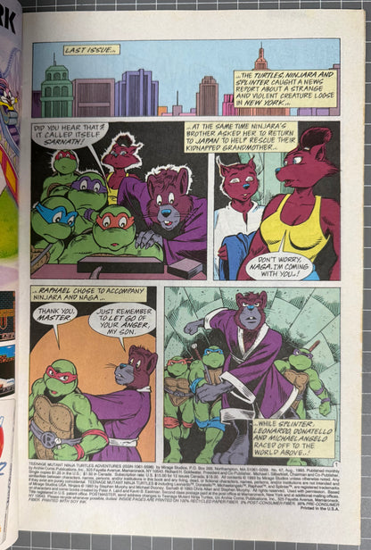 TEENAGE MUTANT NINJA TURTLES ADVENTURES #47 [ARCHIE] DIRECT COMIC 1993 VF/NM