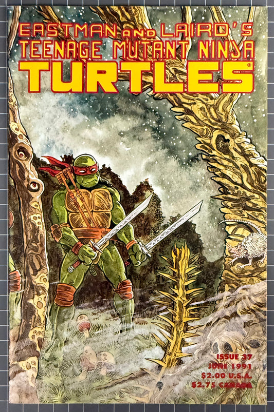 TEENAGE MUTANT NINJA TURTLES #37 (TMNT) [MIRAGE] COMIC 1991 NM