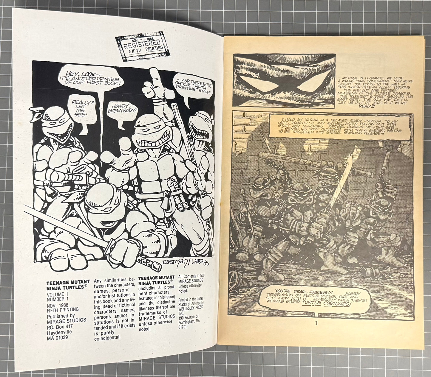 🔑 TEENAGE MUTANT NINJA TURTLES #1 (MIRAGE) 5TH PRINT TMNT COMIC 1988 FN+