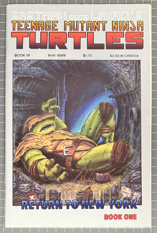 TEENAGE MUTANT NINJA TURTLES #19 (TMNT) [MIRAGE] COMIC 1989 VF