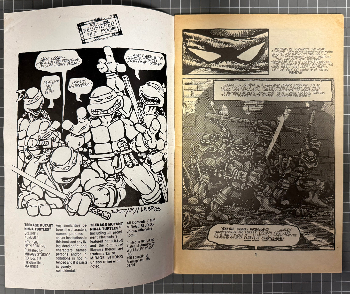 TEENAGE MUTANT NINJA TURTLES #1 5TH PRINT (MIRAGE) 1988 TMNT VG