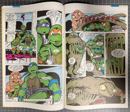 TEENAGE MUTANT NINJA TURTLES ADVENTURES #51 [ARCHIE] DIRECT COMIC 1993 FN/VF