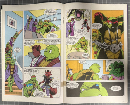 TEENAGE MUTANT NINJA TURTLES ADVENTURES #42 [ARCHIE] DIRECT COMIC 1993 FN-