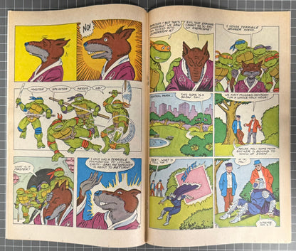 🔑 TEENAGE MUTANT NINJA TURTLES ADVENTURES #1 [ARCHIE] DIRECT COMIC 1989 FN/VF