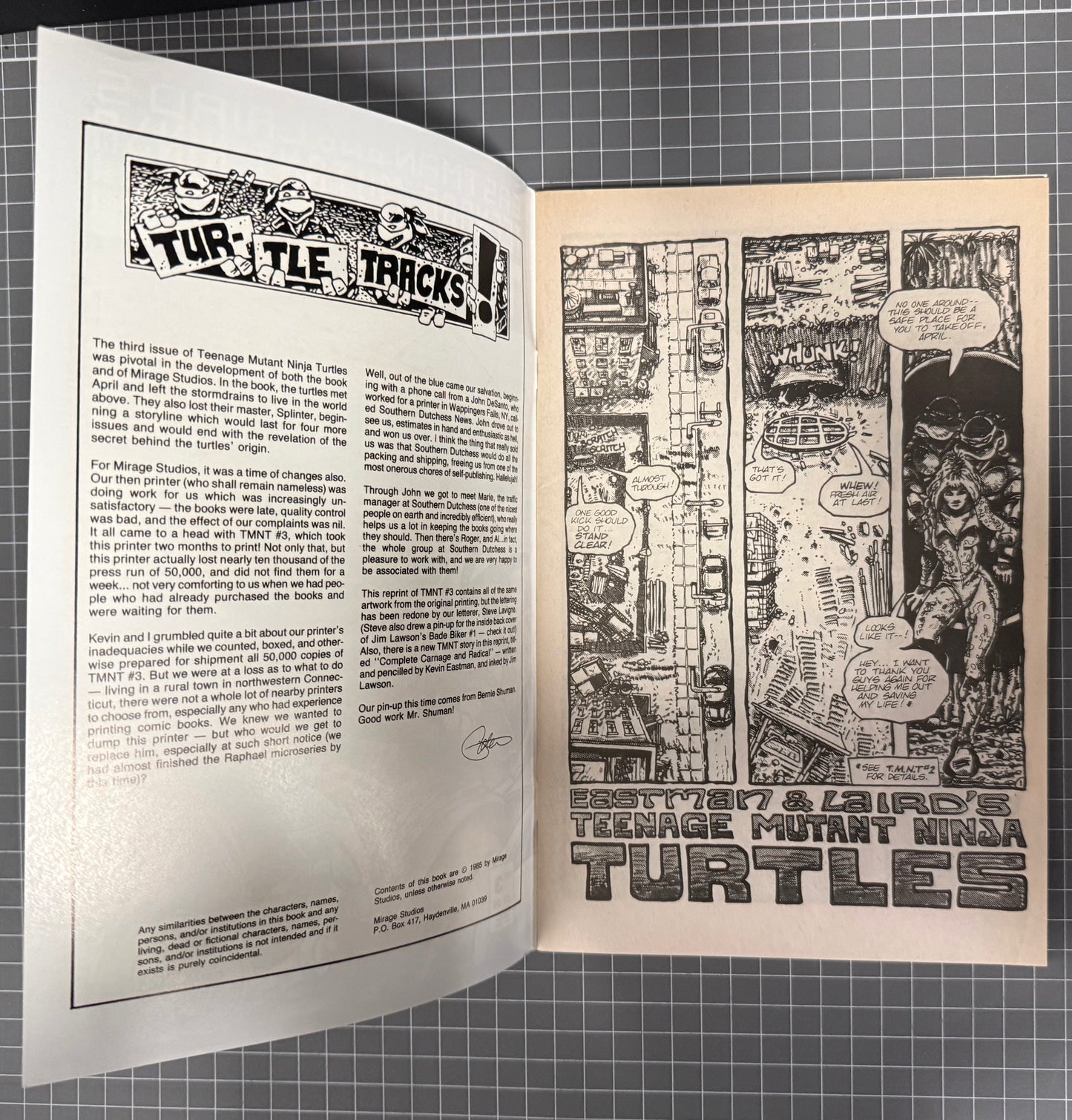 🔑 TEENAGE MUTANT NINJA TURTLES #3 (TMNT) [MIRAGE] 2ND PRINT COMIC 1988 FN/VF