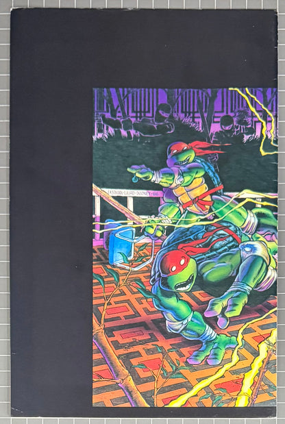🔑 TEENAGE MUTANT NINJA TURTLES #9 (TMNT) [MIRAGE] COMIC *SPLINTER* 1986 FN/VF